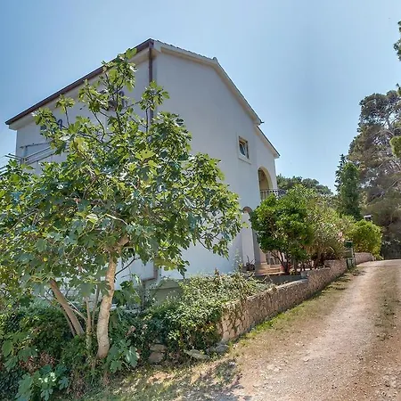 Double 9681c Guest house 3*